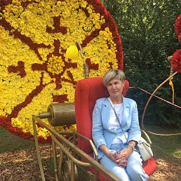 ���� ������, ����, 55 ��� - ��������� 31 ������� 2023