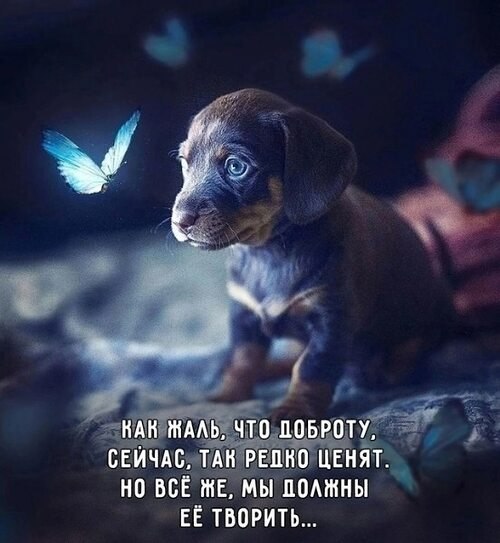 �� ����� ������! - 7 ������� 2025 � 20:14