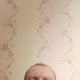 ���� ������, 49 ���, ������