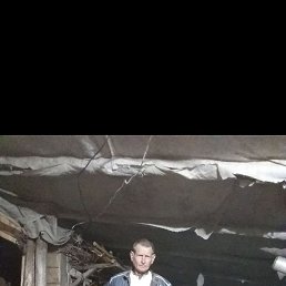 , 53, 
