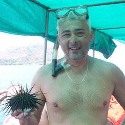 , 53, 