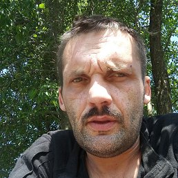 , 39, 