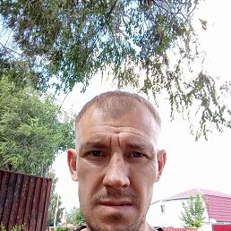 , 37, 