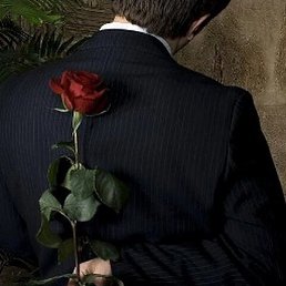 ������ � ����, ����, 48 ���