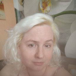 ���� ����� ( ����), �����, 43 ���� - ��������� 12 ���� 2026