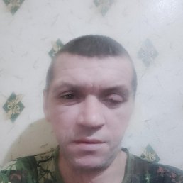 , 46, 