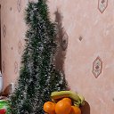���� �, ����� - ��������� 24 ������� 2023 � ������ ���� ����- �� ���������....�