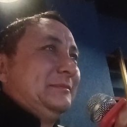 �����, ��������, 46 ���