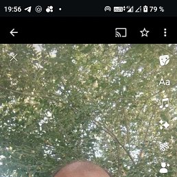 , 58, 