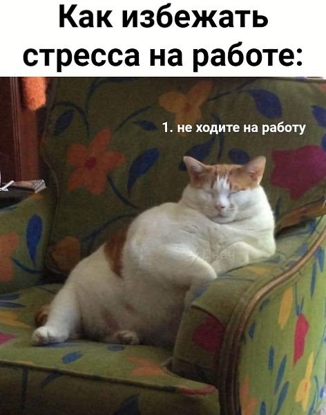   - 2  2025  13:24