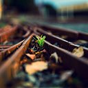 ���� Vitaliy, ����, 47 ��� - ��������� 5 ������� 2025 � ������ ���� ����������