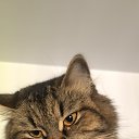  ,  , 26  -  22  2025