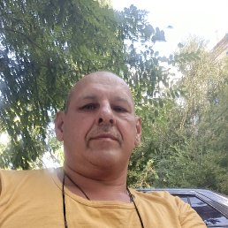 , 53, 