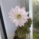 ���� �����, ������ - ��������� 15 ���� 2024 � ������ ������ ��������