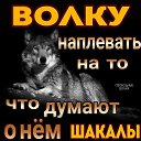 ���� ����, ����-��������� - ��������� 25 ������� 2026 � ������ ������ ��������