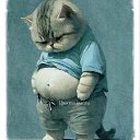 ���� ���, ����, 42 ���� - ��������� 11 ������ 2026