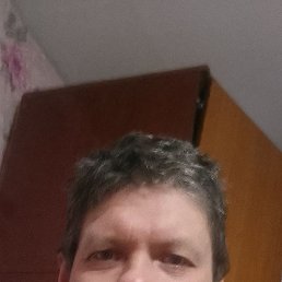 ������, 41 ���, �����