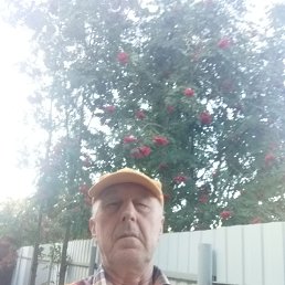 , 65, 
