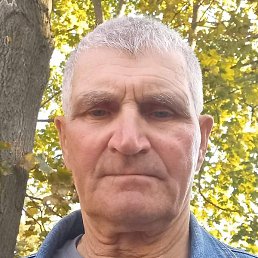 ����, ������, 82 ����