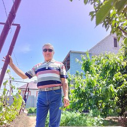 ��������, �����������, 60 ���