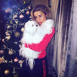 ����, ����, 33 ����