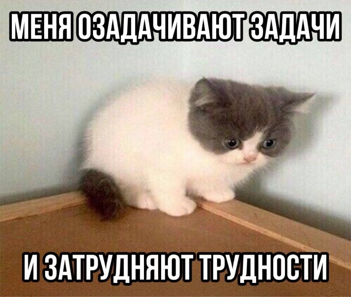   - 11  2025  14:44