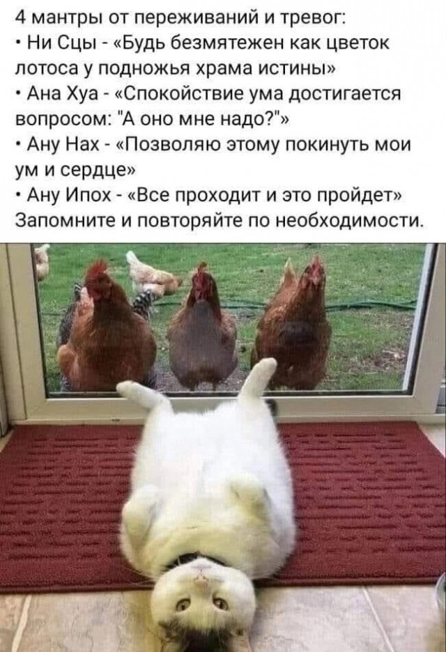 Galina Borisovna - 9 �������� 2025 � 17:18