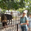 ���� �������� �������, ������ ��������, 54 ���� - ��������� 23 ������� 2025