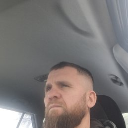 , 37, 