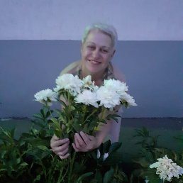 �����, ��������, 56 ���