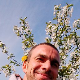 , 36 , 