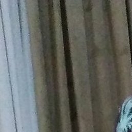 �����, ������, 60 ���