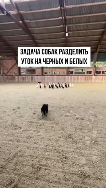      ? - 2