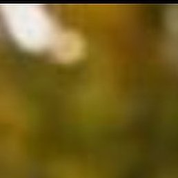 ������, ������, 69 ���