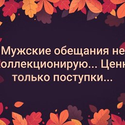 ���� ����, ������ - ��������� 6 ������ 2024