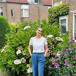 �����, ���������, 56 ���