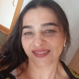 �����, ������, 41 ���