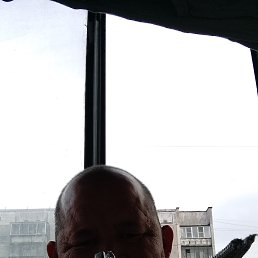 , 41 , 