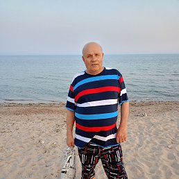 , 65, 