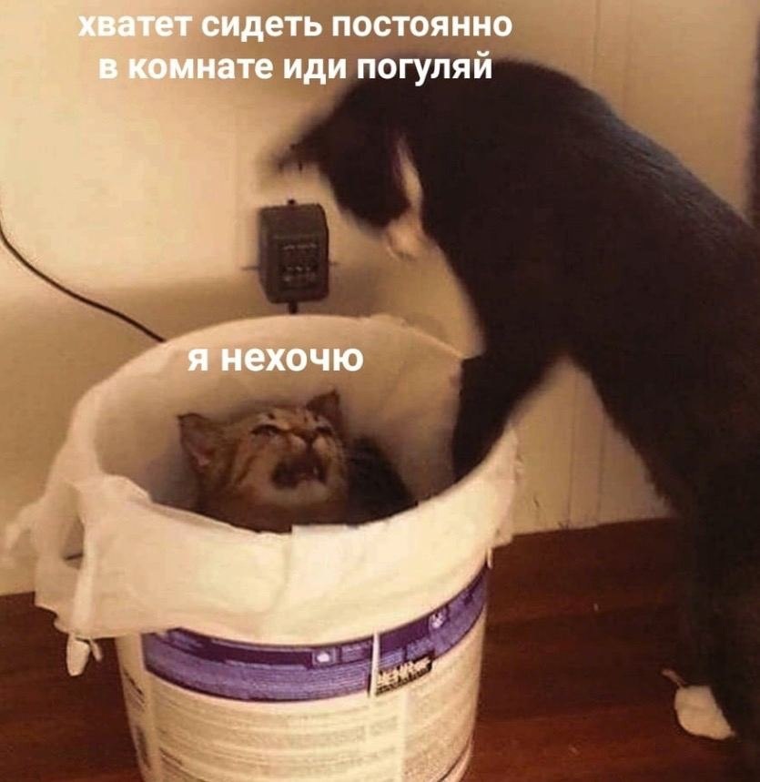 ��� �������� �������� - 27 ������� 2024 � 04:21