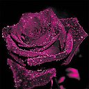 ���� ���, ������, 44 ���� - ��������� 11 ������ 2024 � ������ ���� ����������