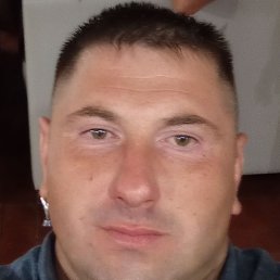 , 40, 