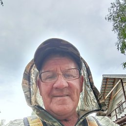 , 66, 