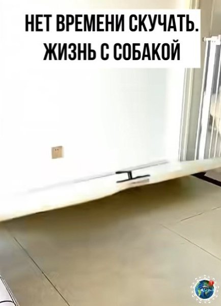 ecea oopa c coaa