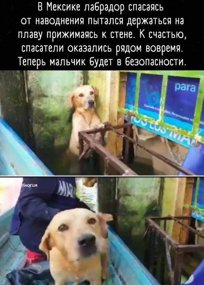   ,      !