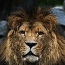 ���� �����, �����-���������, 23 ���� - ��������� 13 ������ 2026 � ������ ���� ����������