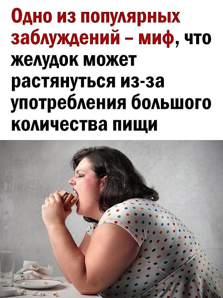Необходимо сократить потребление пищи и все будет хорошо
