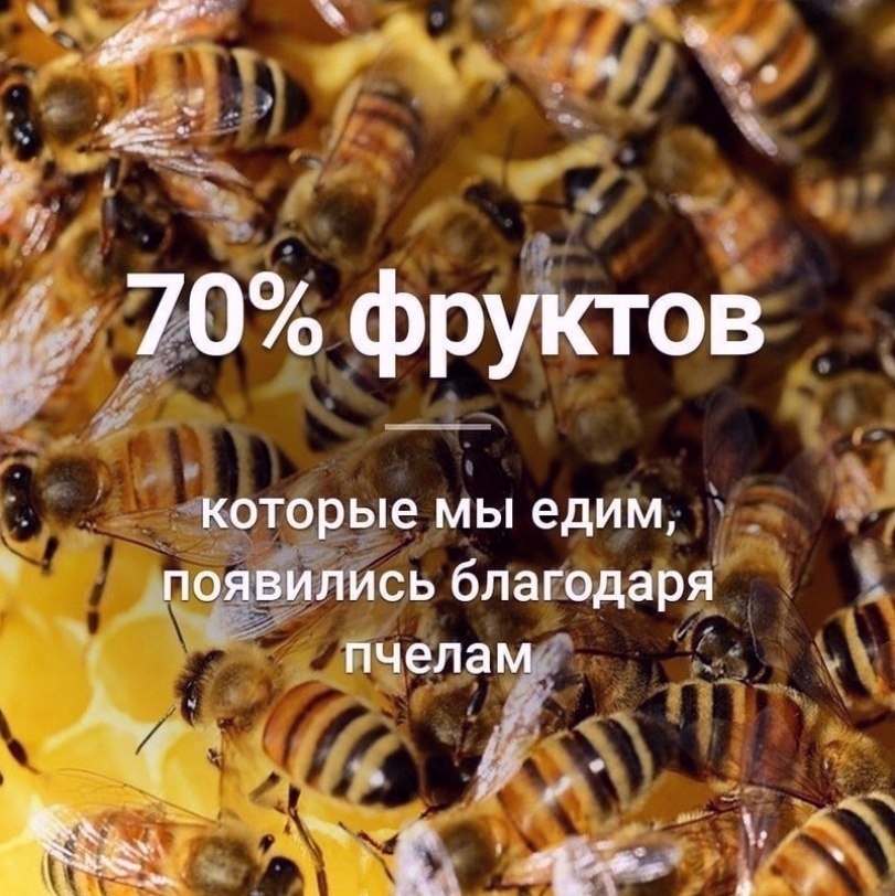  - 7  2025  16:11