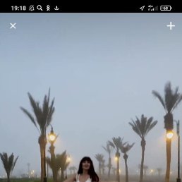 ���� �����, ���������, 38 ��� - ��������� 30 ���� 2026