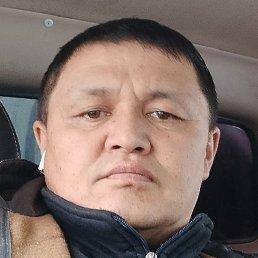 �����, ���������, 46 ���